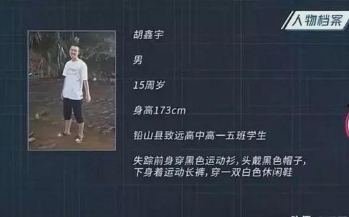 新闻爆料失踪案例视频播放,视频揭秘惊心动魄的寻人历程